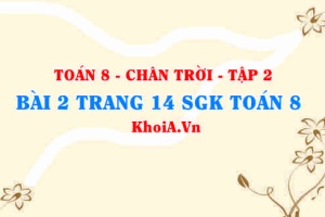 Bài 2 trang 14 Toán 8 Chân trời sáng tạo Tập 2